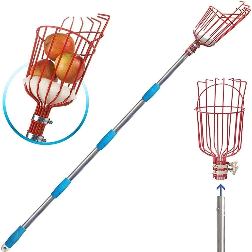 Fruit Picker with Basket - Vistora